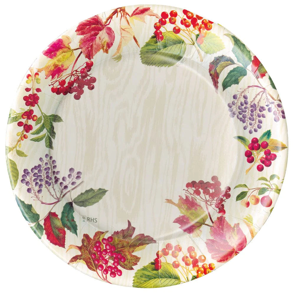 Caspari shop dinner plates