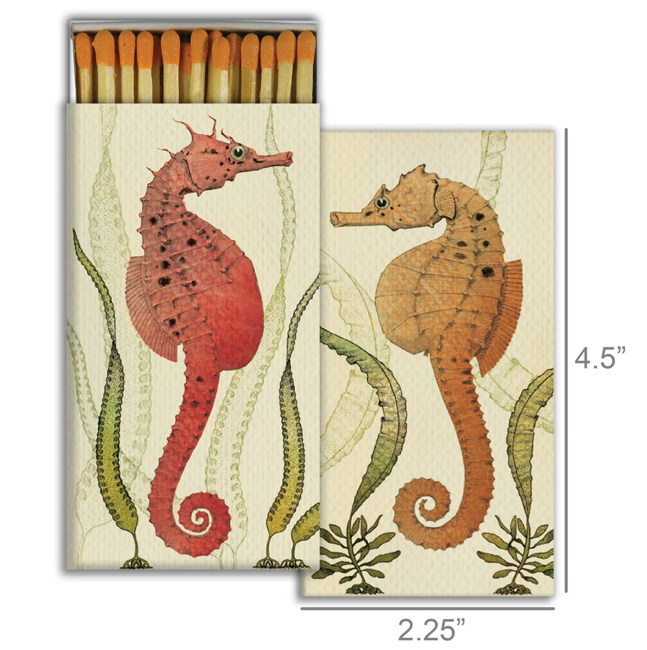 Matches - Seahorses HomArt