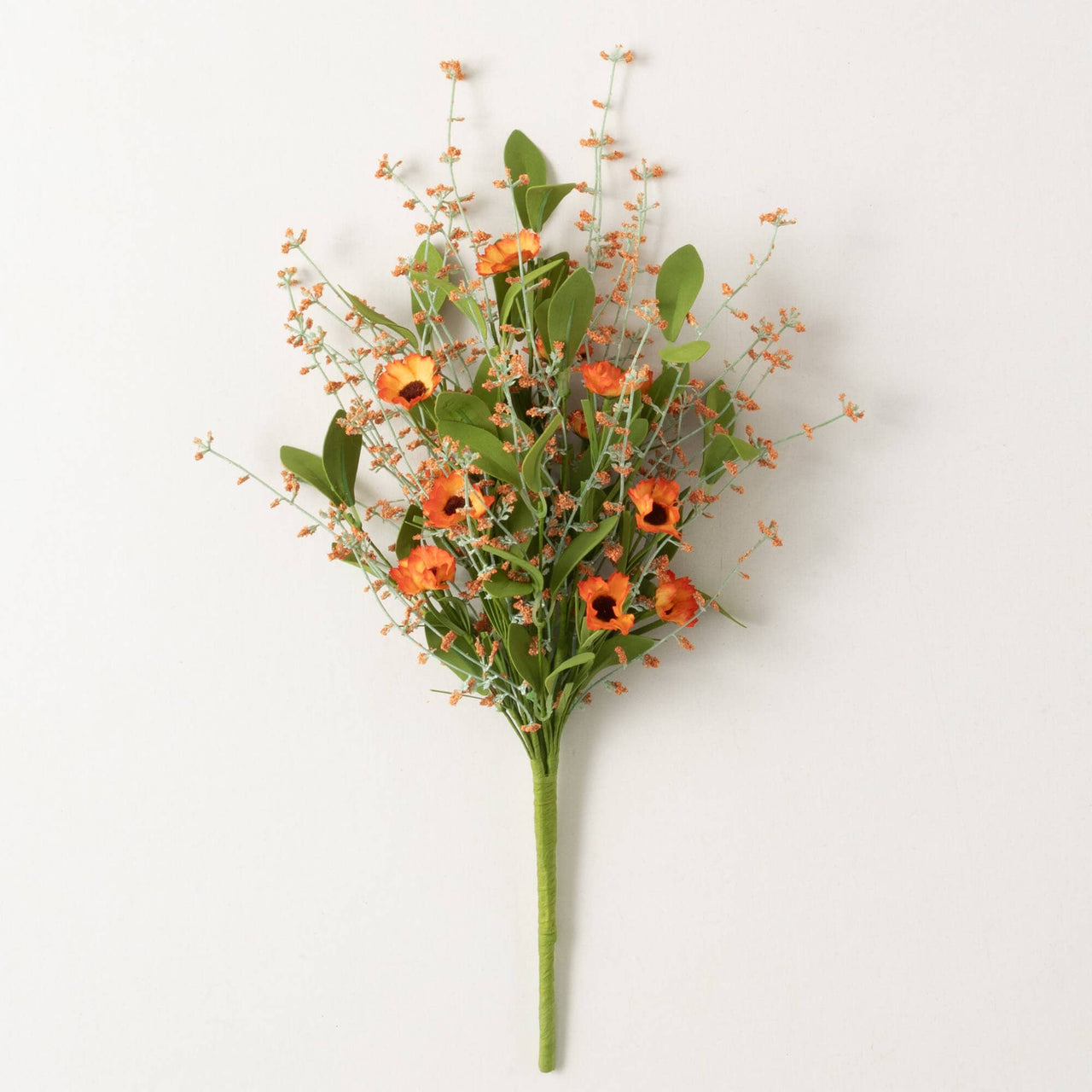 Orange Wispy Daisy Bush Sullivans