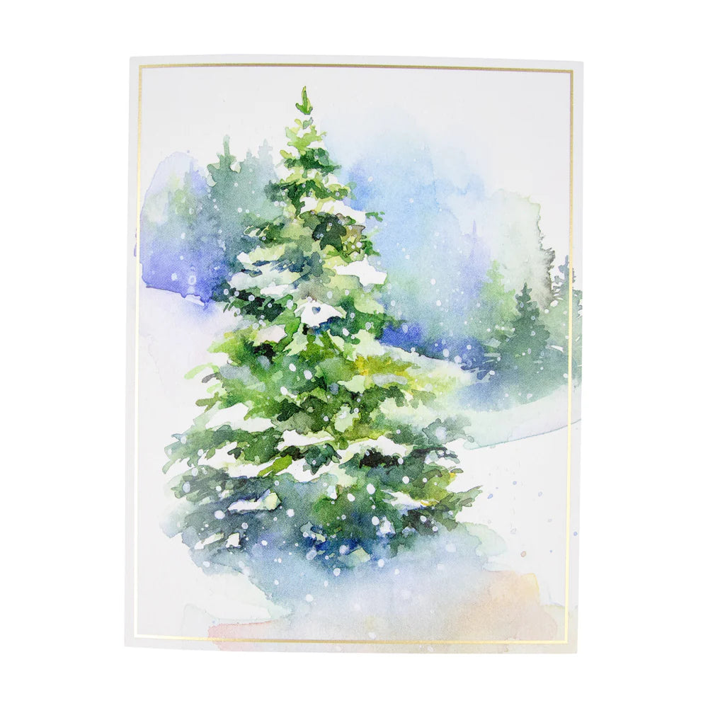 Evergreens In Snowy Field - Boxed Holiday Cards  Caspari   