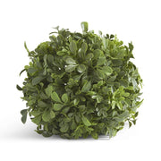 7 Inch Boxwood Ball Ornament K&K