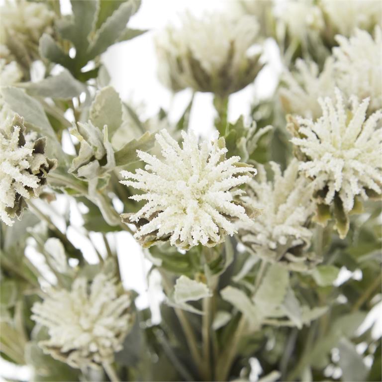 White Thistle With Green Foliage Stem  K&K   