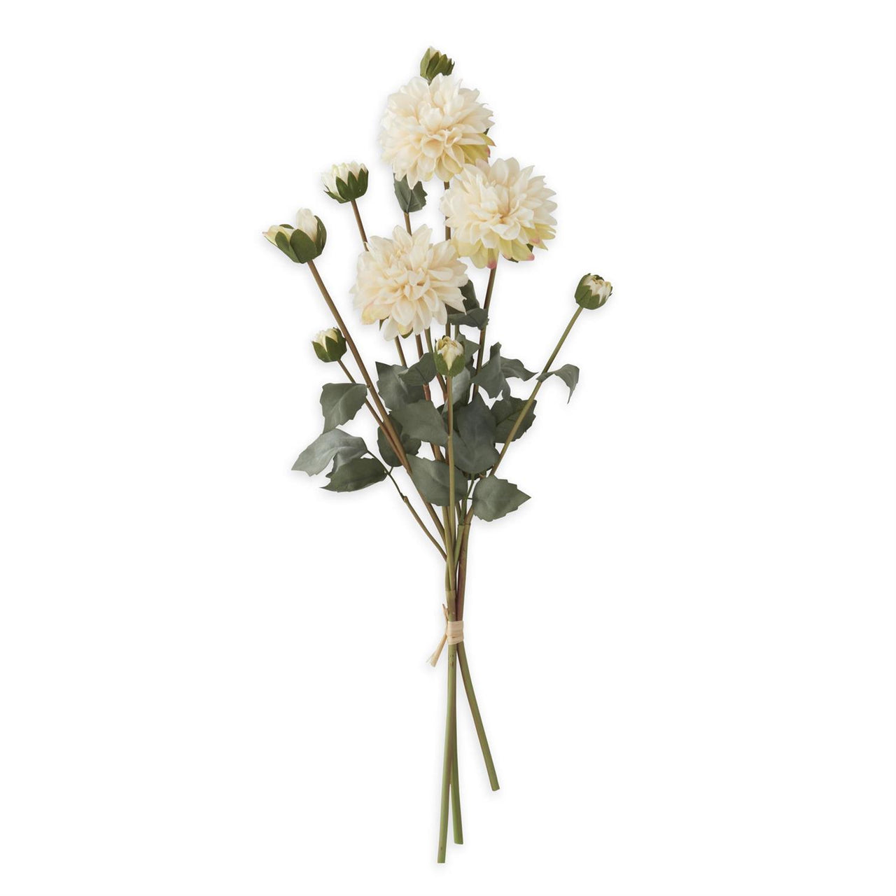 Faux Dried Dahlia Bundle (3 Stems) K&K Cream