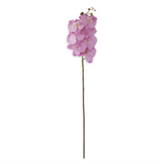 34.5 Inch Orchid Stem K&K Purple