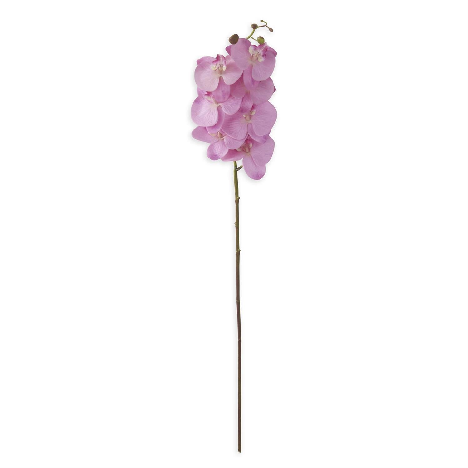 34.5 Inch Orchid Stem K&K Purple