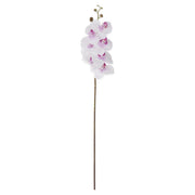 34.5 Inch Orchid Stem K&K White