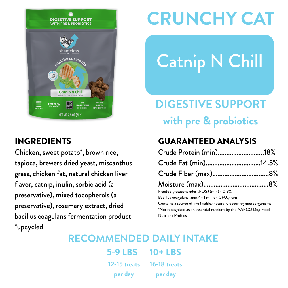 Catnip N Chill Crunchy Cat Treats  Shameless Pets   