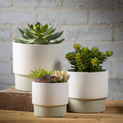 Ceramic Rimmed Two-Toned Pots Sullivans