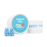 Coastal Tide Wax Melts Happy Wax