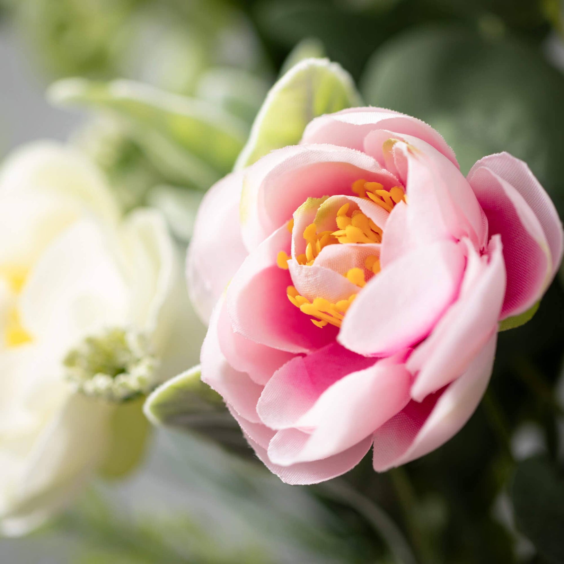 Ranunculus Mini Blossom Wreath Sullivans