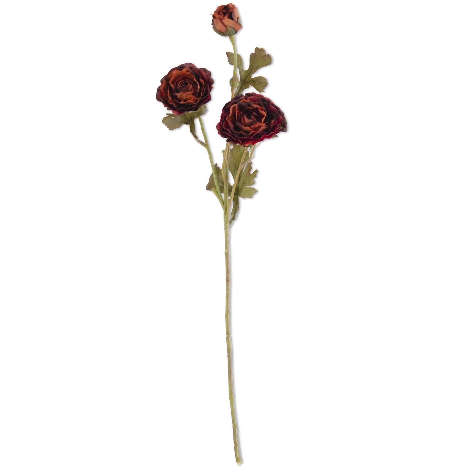 Ranunculus Spray  K&K Burgundy  