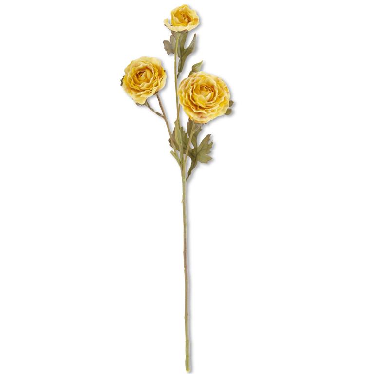 Ranunculus Spray  K&K Yellow  