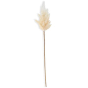 Flocked Pampas Grass Stem  K&K   