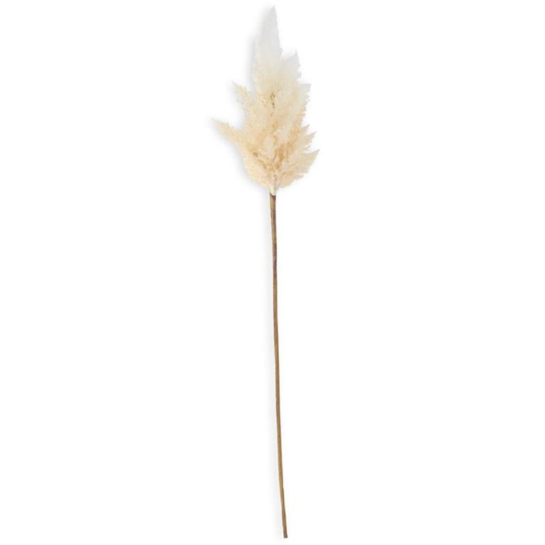 Flocked Pampas Grass Stem  K&K   