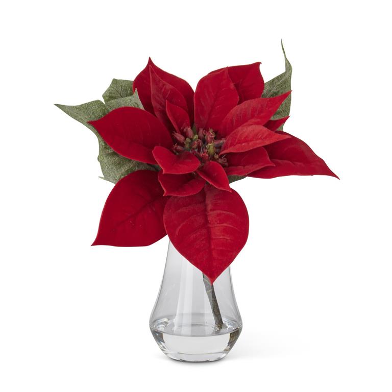 Red Poinsettia Premade in Clear Glass Vase  K&K   