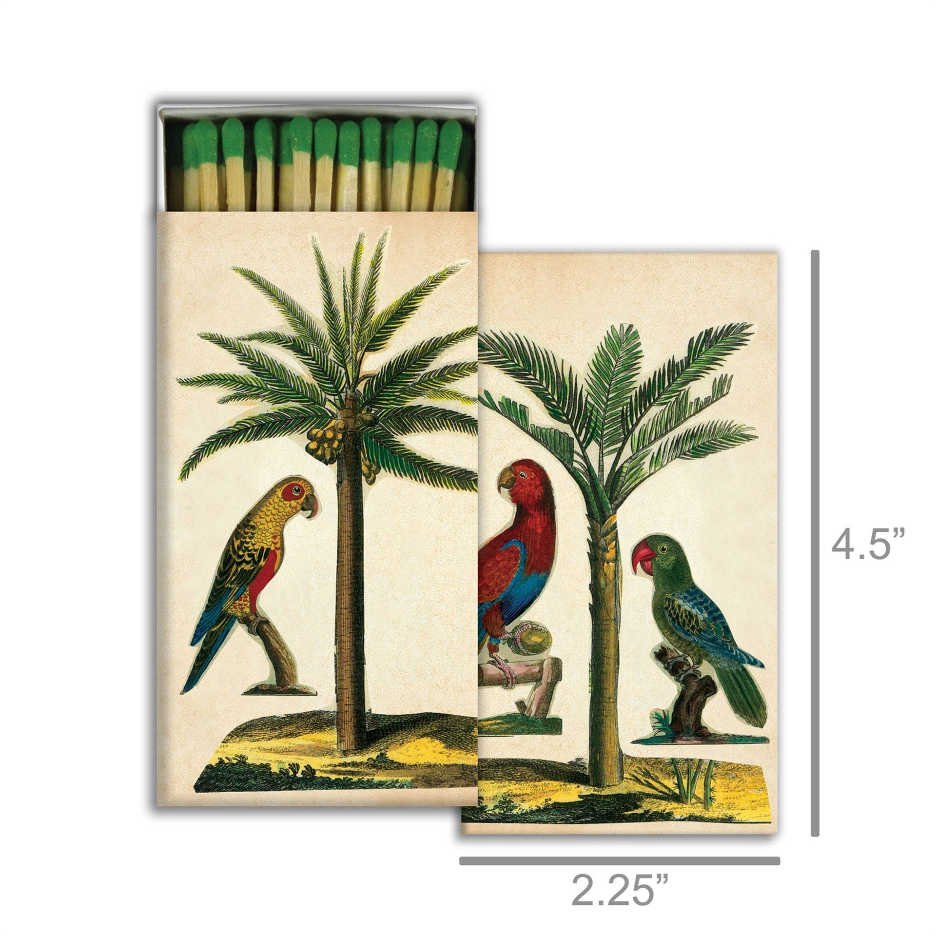 Matches - Palm & Parrot  HomArt   