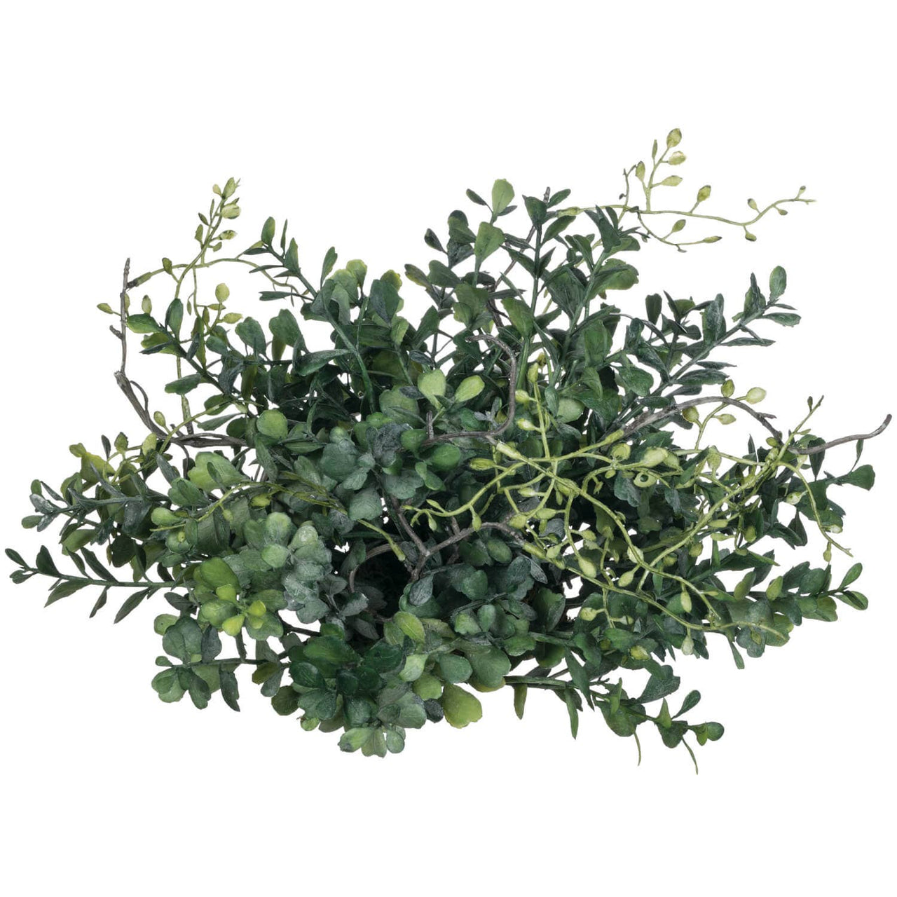 Blue Boxwood Orb Sullivans