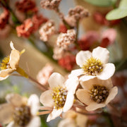 Rust Flower Eucalyptus Wreath Sullivans