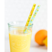 Fruit Basket Reusable Straws  My Mind’s Eye   