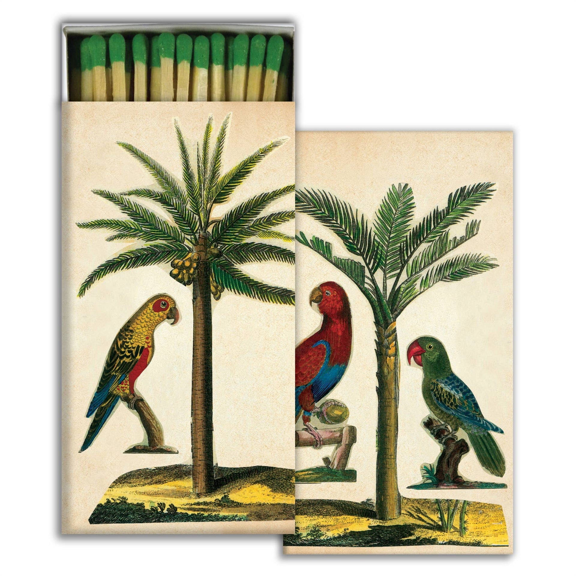 Matches - Palm & Parrot  HomArt   