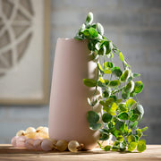 Matte Blush Scalloped Vase  Sullivans   