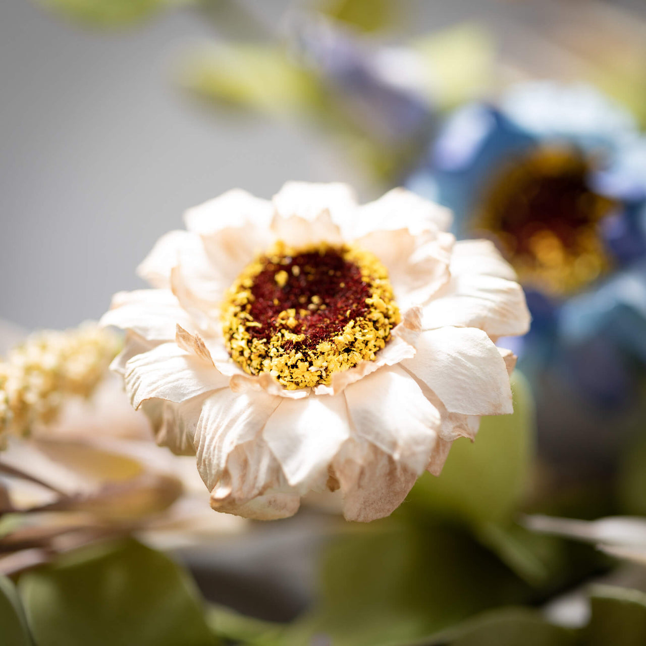 Mixed Flower Wreath  Sullivans   