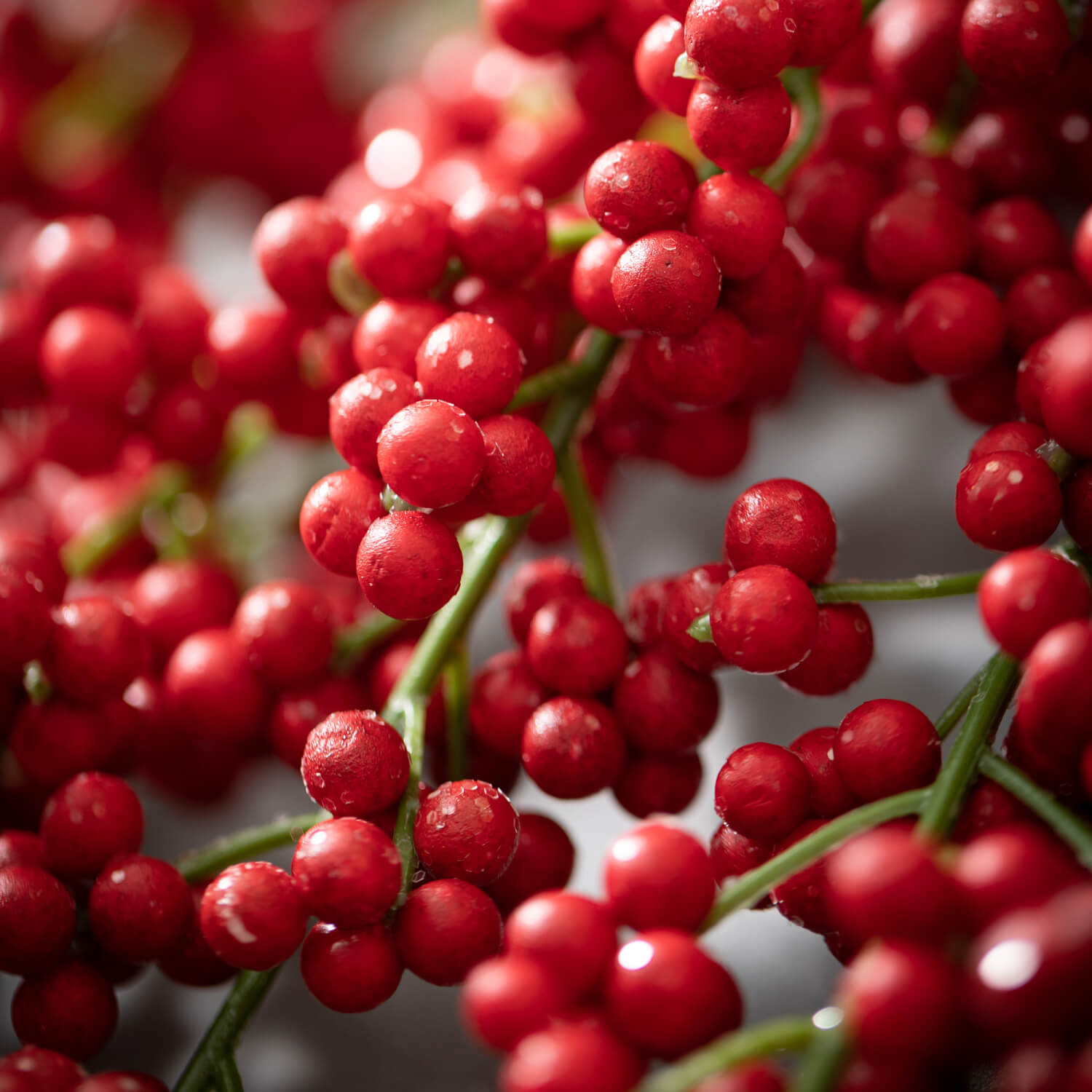 Hanging Berry Spray Red  Sullivans   