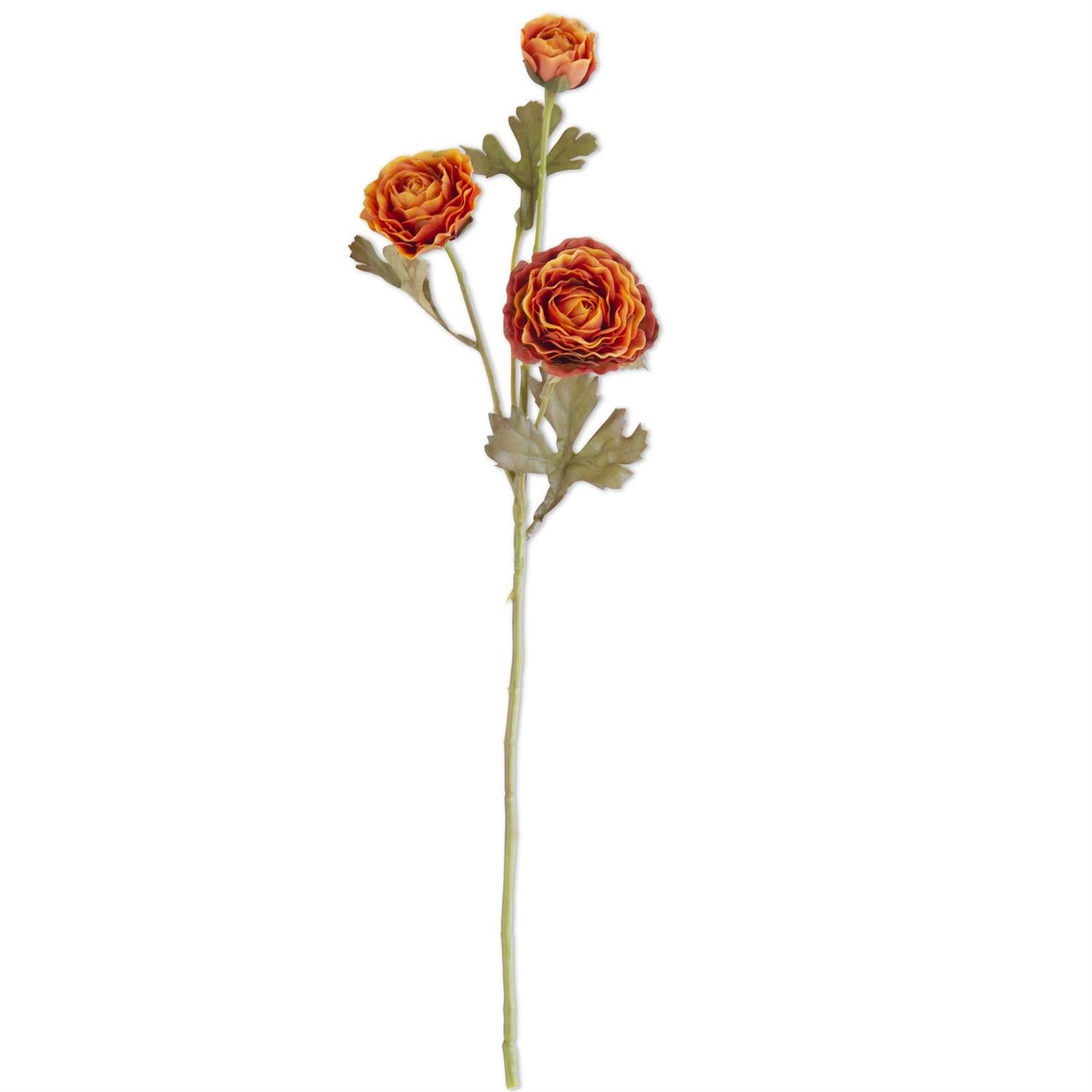 Ranunculus Spray  K&K Orange  