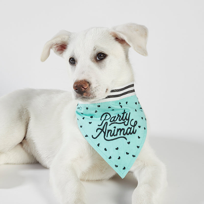 Dog bandana outlet brands