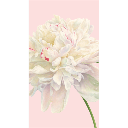 Guest Towel Napkin - Duchess Peonies Blush  Caspari   