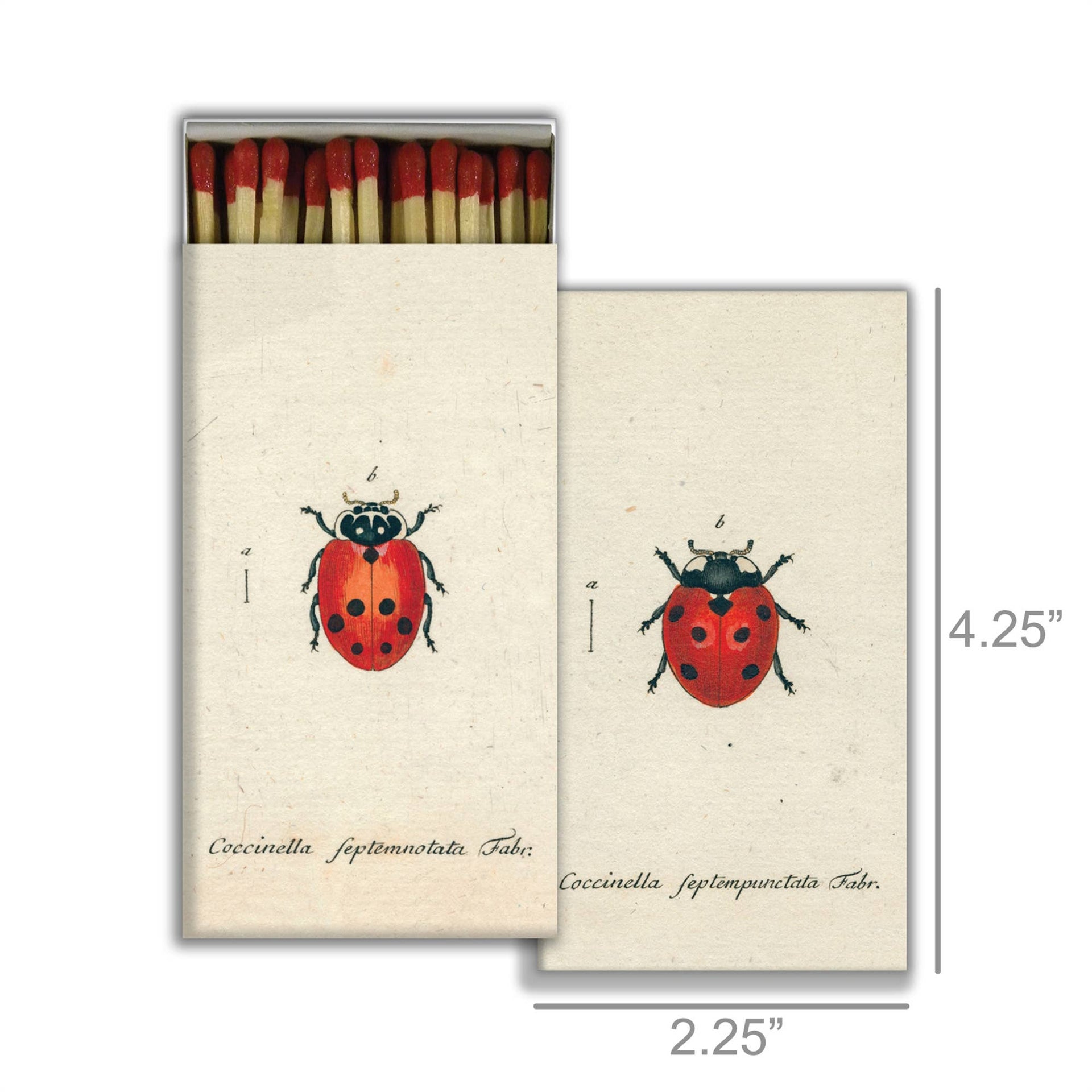 Matches - Little Lady Bug & Red Lady Bug - Red  HomArt   