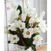 White Real Touch Magnolia 25" Artificial Flora K&K   